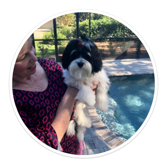 Dog Walking and Pet Sitting in Tampa, FL by V.I.C. Pet Care