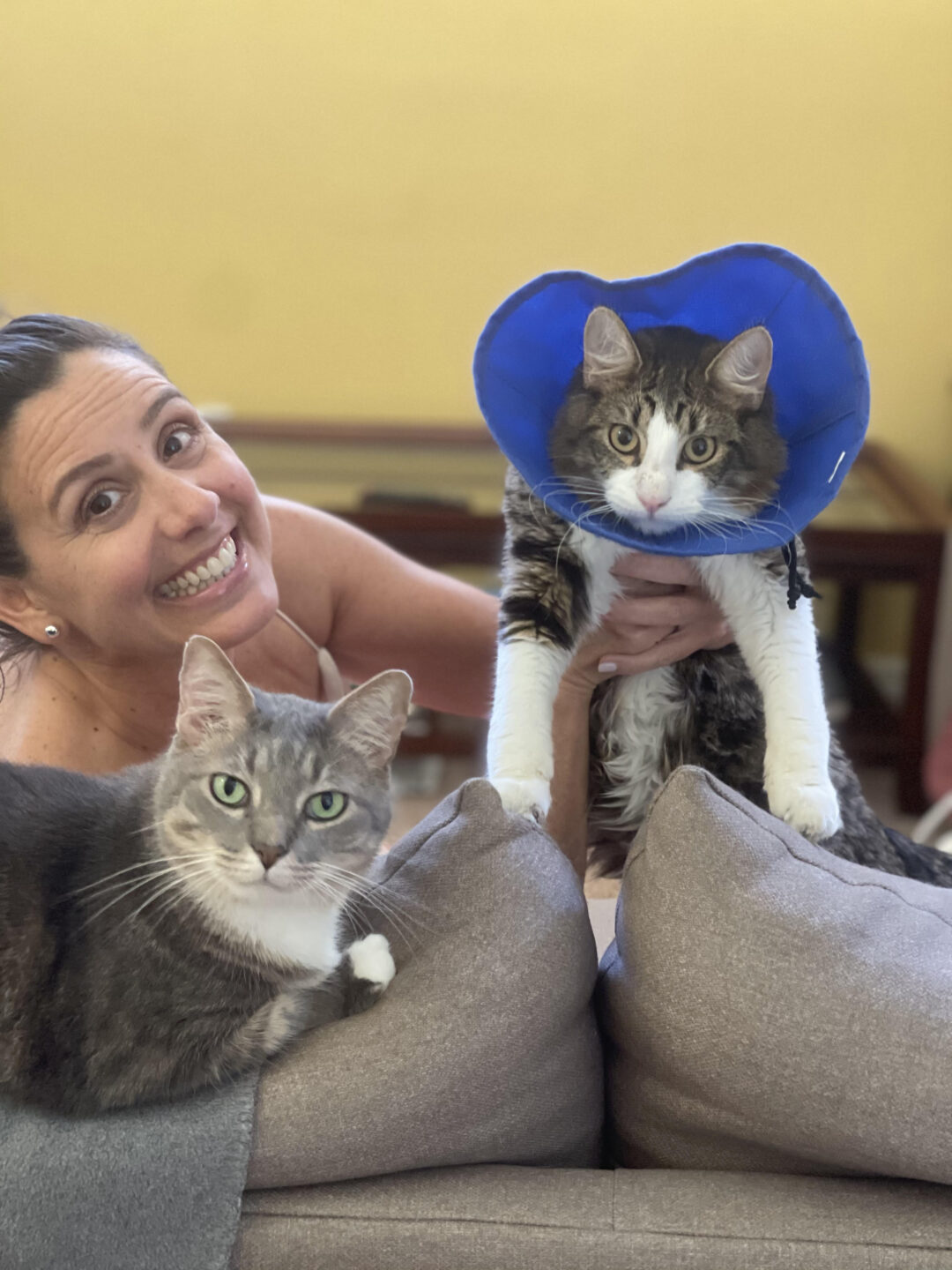 Meet The Team Working Behind This Cause VIC Pet Care